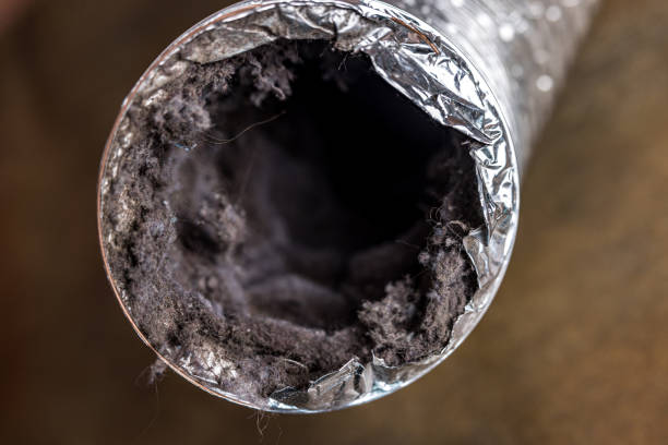 Best Residential Air Duct Cleaning  in Sun Prairie, MT